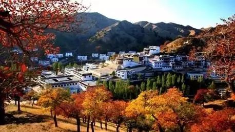 作為通遼人,我們居然有這么多錢可以領 現在看還不晚...