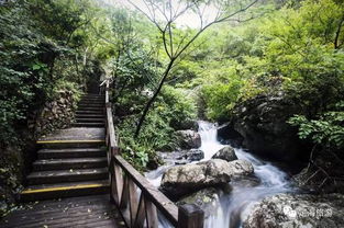 定海旅游景區(qū)管理辦法頒布，規(guī)范景區(qū)等級評定與經(jīng)營管理