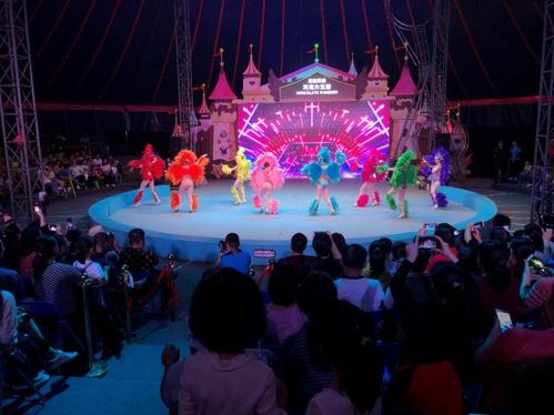 五一假期中國文旅集團開曼景區(qū)迎客逾20萬人次，景區(qū)經(jīng)營管理成效顯著